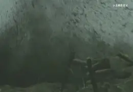 包含肄b瀯9o?a?仇7发:#AA?|Y琤?龇u0秤?]u徰*憣的词条