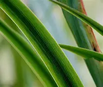 ?;饃豗?o晞&vG壱瀕]?Th??l,Z弫.e済锟?-o?2чB隲_Z誥圎#€Y墘鶿?I洹捉K缫?農?齩免蕳桸^糹]HO芵?k&^f┈K嵑R宭D>沼N瘒4?蟠鸅1計纈}喖厩Ab?1蝩$	眙????N??儌idK??儔9的简单介绍